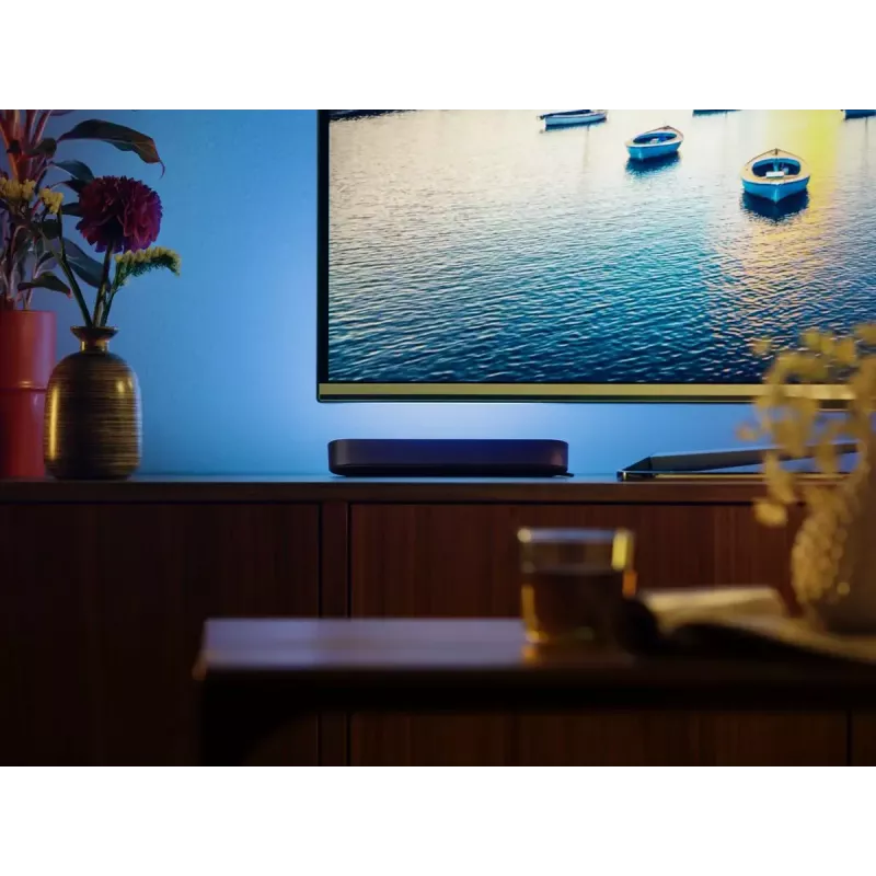Philips Hue White and Colour Ambience Play Lightbar confezione singola