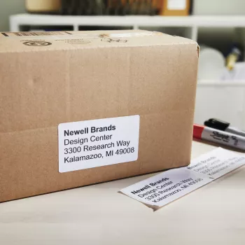 DYMO Authentic LabelWriter etichette di spedizione ad alta capacità | (59 mm x 102 mm) | 2 rotoli con 575 etichette facilmente rimovibili (1.150 etichette di spedizione) | autoadesive | per etichettatrici LabelWriter 4XL/5XL