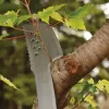 Machete da giardino Fiskars 1051236 acciaio inox manico arancione