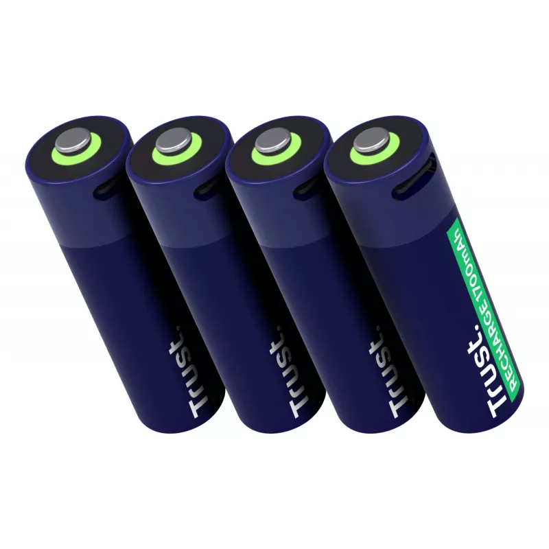 Trust 25631 batteria per uso domestico batteria ricaricabile AA