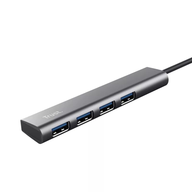 Trust Halyx USB 3.2 Gen 1 (3.1 Gen 1) Type-A 5 Mbit/s grigio