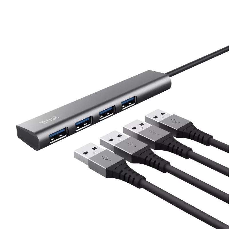 Trust Halyx USB 3.2 Gen 1 (3.1 Gen 1) Type-A 5 Mbit/s grigio