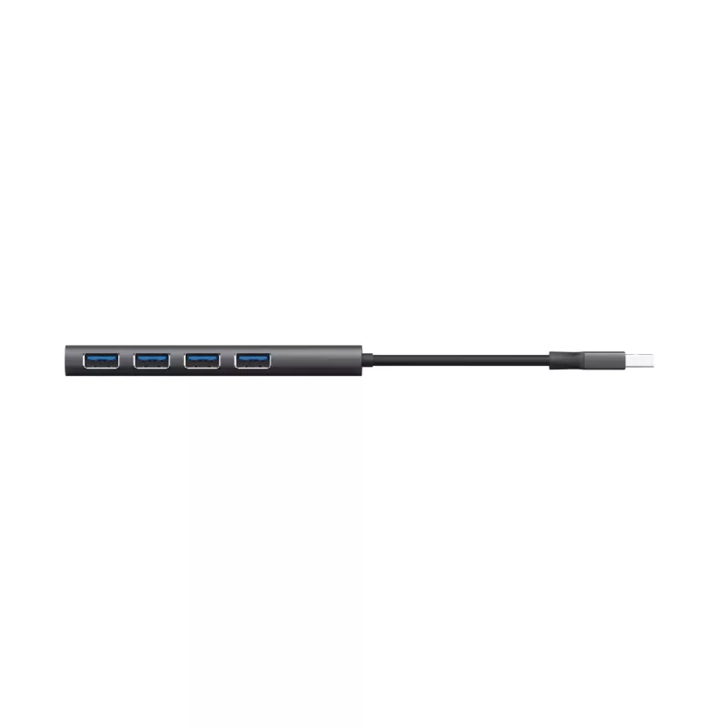 Trust Halyx USB 3.2 Gen 1 (3.1 Gen 1) Type-A 5 Mbit/s nero, grigio