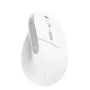 Trust Bayo II mouse da ufficio per destrimani RF wireless ottico 2400 DPI