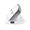 Trust Bayo II mouse da ufficio per destrimani RF wireless ottico 2400 DPI