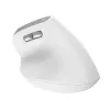 Trust Bayo II mouse da ufficio per destrimani RF wireless ottico 2400 DPI