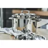 Zwilling Passion 66060-000-0 set di pentole, 5 pezzi, argento