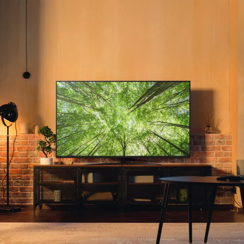 Televisore LG NanoCell 65NANO81A6A 65 inch 4K Ultra HD NanoCell, Direct-LED, webOS, HDR10, 60Hz