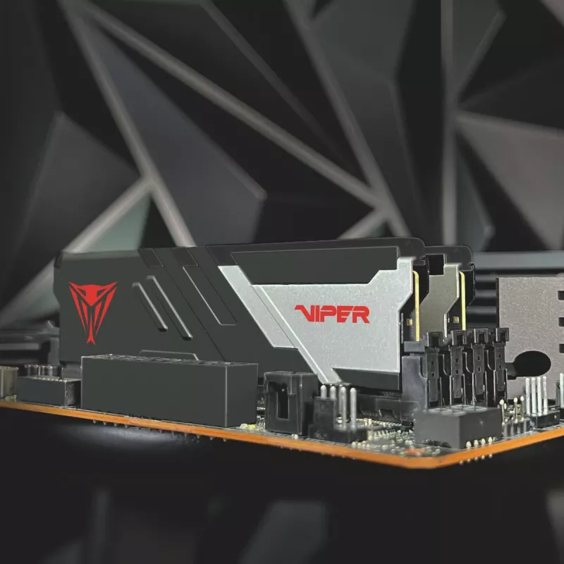 PATRIOT MEMORY memoria – Viper Venom – 32 GB 2 x 16 GB DDR5 7000 MHz