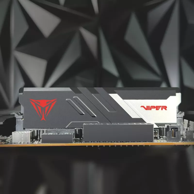 PATRIOT MEMORY memoria – Viper Venom – 32 GB 2 x 16 GB DDR5 7000 MHz