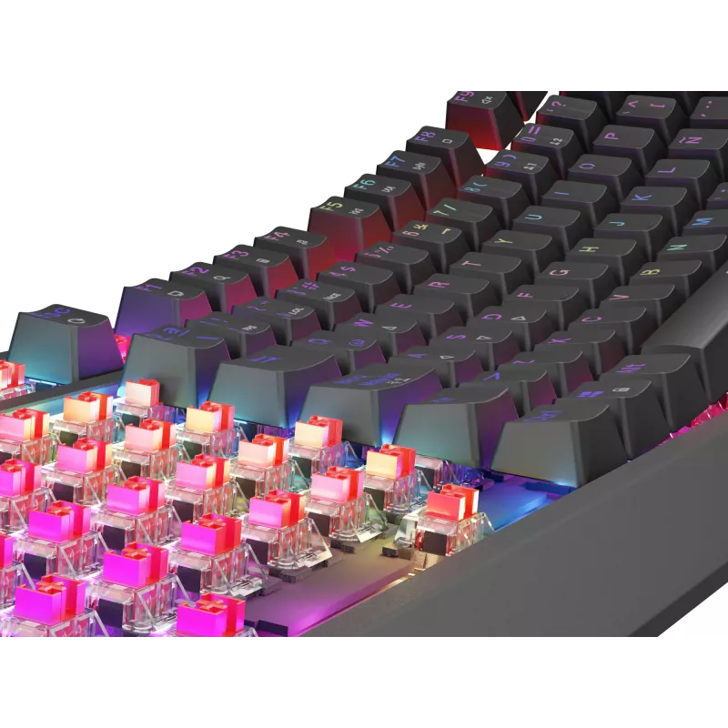 Tastiera da gaming GENESIS Thor 230 TKL USB QWERTY spagnolo nero