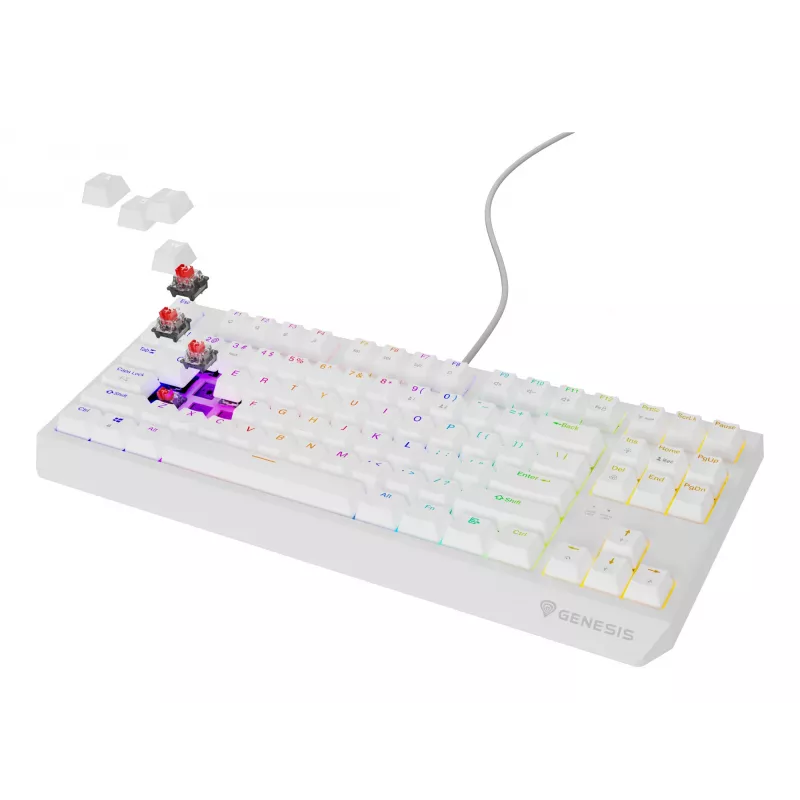 Tastiera da gaming GENESIS Thor 230 TKL USB QWERTY inglese US bianco