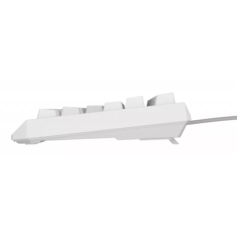 Tastiera da gaming GENESIS Thor 230 TKL USB QWERTY inglese US bianco