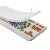 Tastiera da gaming GENESIS Thor 230 TKL USB QWERTY inglese US bianco