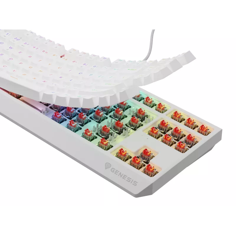 Tastiera da gaming GENESIS Thor 230 TKL USB QWERTY inglese US bianco