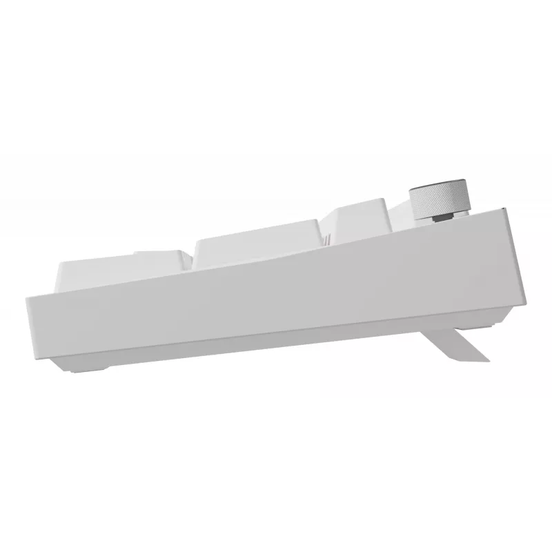 Tastiera universale GENESIS NKG-2300 USB QWERTY inglese bianco