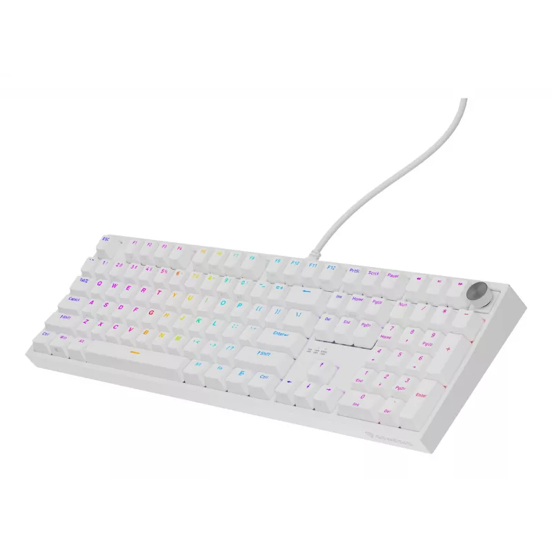 Tastiera universale GENESIS NKG-2300 USB QWERTY inglese bianco