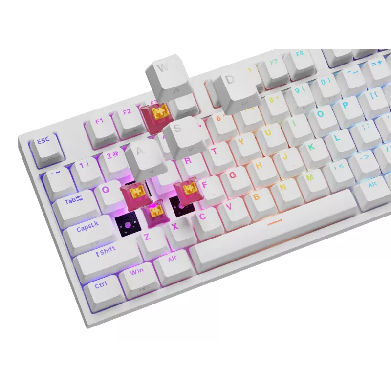 Tastiera universale GENESIS NKG-2300 USB QWERTY inglese bianco