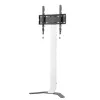 Techly ICA-TR47 supporto TV da pavimento slim, 32-70 pollici, 40 kg, bianco