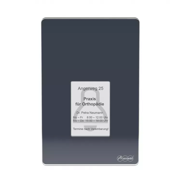Citofono Auerswald TFS-Dialog 400, antracite