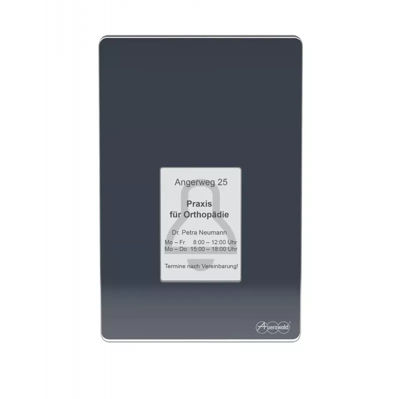 Citofono Auerswald TFS-Dialog 400, antracite