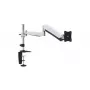 Supporto da tavolo articolato per monitor Equip 13–27 pollici