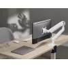Supporto da scrivania premium per monitor Equip da 17