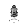 Sedia da ufficio ergonomica premium Equip con poggiatesta e braccioli, grigio