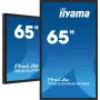 Digital Signage schermo piatto iiyama TF6539AS-B1AG 64,5