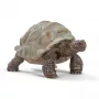 Statua, Schleich, WILD LIFE tartaruga gigante