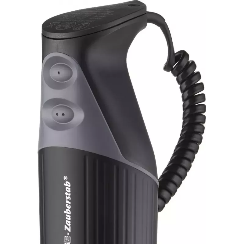 ESGE M 200 BBQ 10 L Frullatore a immersione 200 W nero, cromo