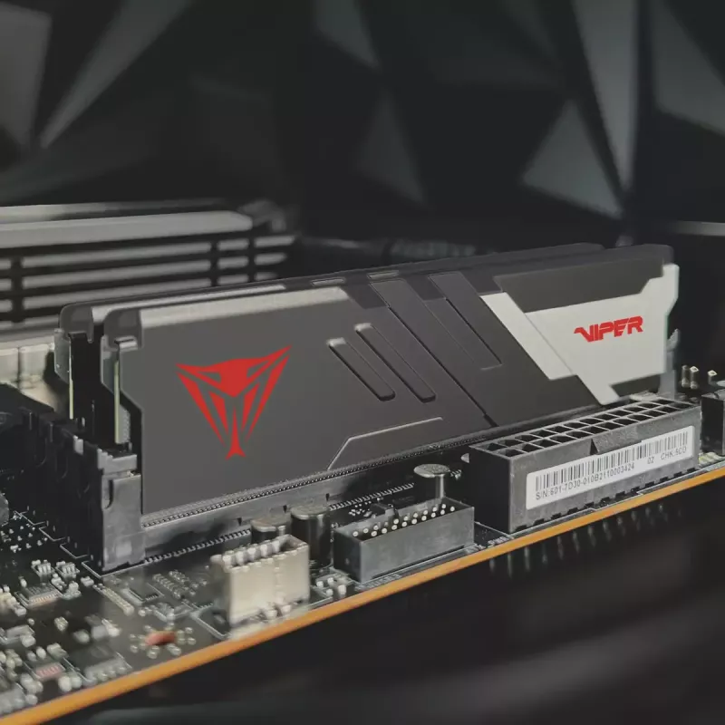 DIMM 32 GB DDR5-6200 (2x 16 GB) Dual-Kit, memoria nera, PVV532G620C40K, Viper Venom, INTEL XMP