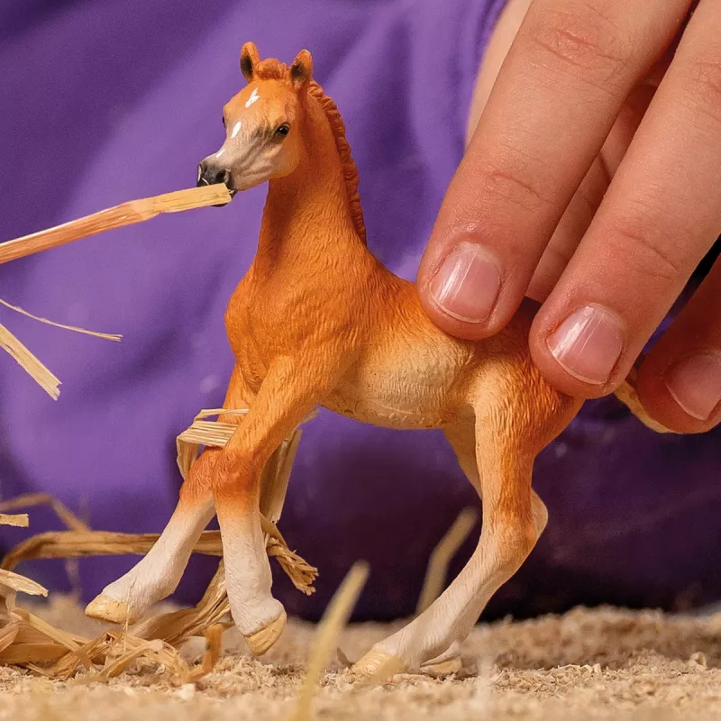Figura cavallo Schleich Puledro arabo modello 13984, marrone, età consigliata 5+