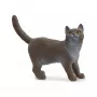 Figura Schleich Gatto british shorthair modello 13973, marrone-grigio, per bambini da 3 anni