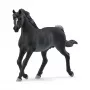 schleich HORSE CLUB Stallone arabo, 5 anni, cavalli, nero, grigio, bianco, plastica