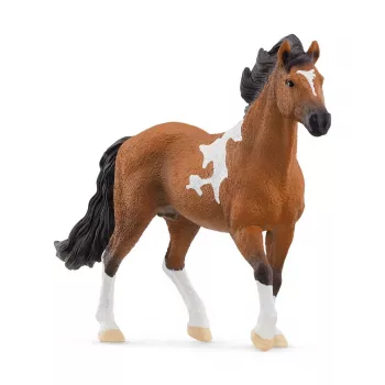 schleich HORSE CLUB Stallone Mangalarga Marchador, 5 anni, cavalli, nero, marrone, bianco, plastica
