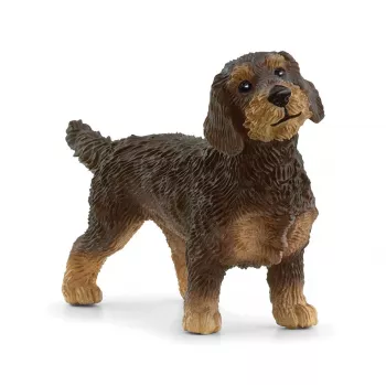 schleich FARM WORLD Bassotto pelo duro