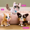 FurReal Poop-a-lots Corgi, bambino/bambina, 4 anni, con suono