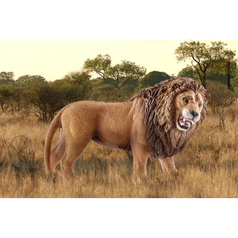 Schleich WILD LIFE leone ruggente multicolore plastica da 3 anni