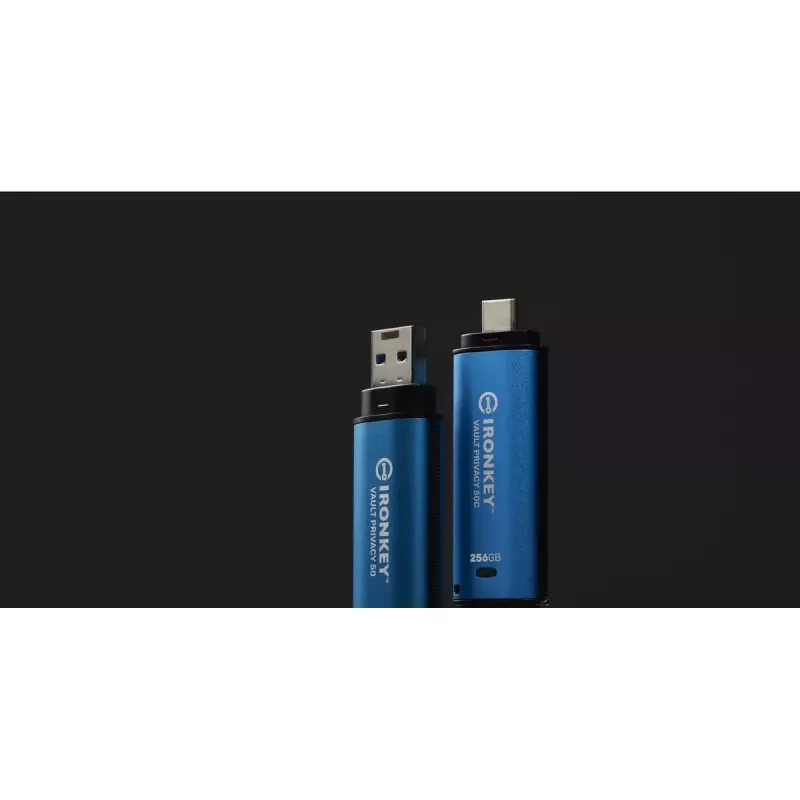 Chiavetta USB Kingston 256GB USB Type-A IronKey Vault Privacy 50