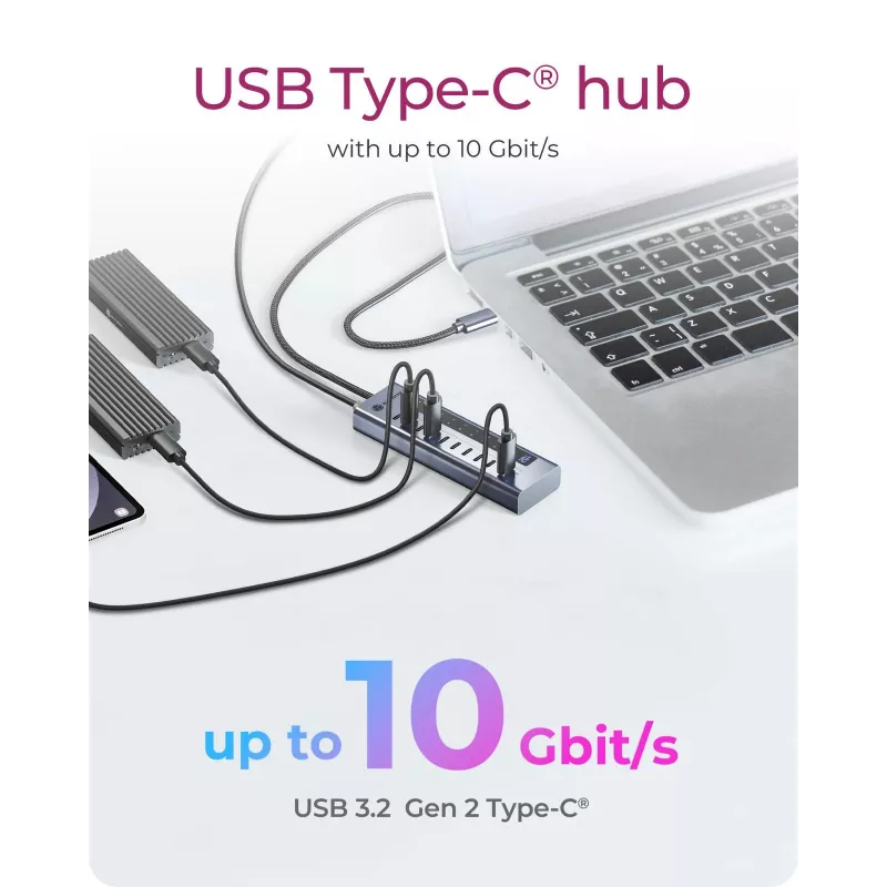 Hub USB icybox IB-HUB1450-C31 — 10 porte, USB 3.2