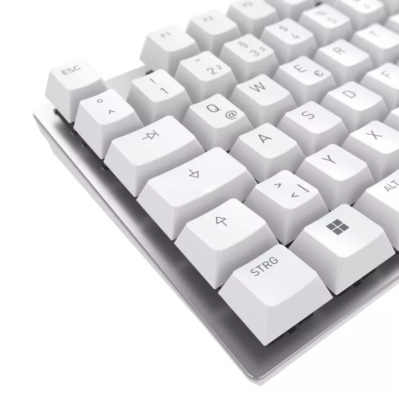 Tastiera CHERRY KC 200 MX universale USB QWERTZ tedesco argento, bianco