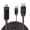 Cavo Lindy 1 m HDMI a DisplayPort HDMI USB Type-A DisplayPort