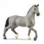 schleich HORSE CLUB stallone Selle Français, 5 anni, cavalli, grigio, plastica