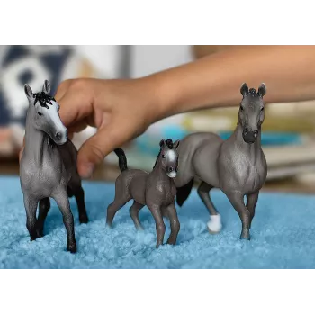 schleich HORSE CLUB stallone Selle Français, 5 anni, cavalli, grigio, plastica