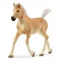schleich HORSE CLUB puledro Haflinger, 5 anni, cavalli, beige, marrone, plastica