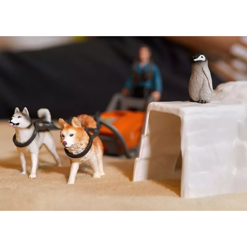 Zoo Schleich WILD LIFE spedizione in Antartide multicolore 42558