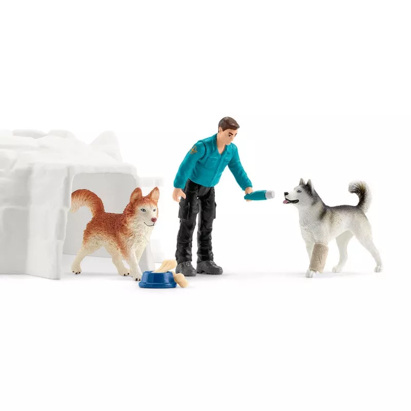 Zoo Schleich WILD LIFE spedizione in Antartide multicolore 42558