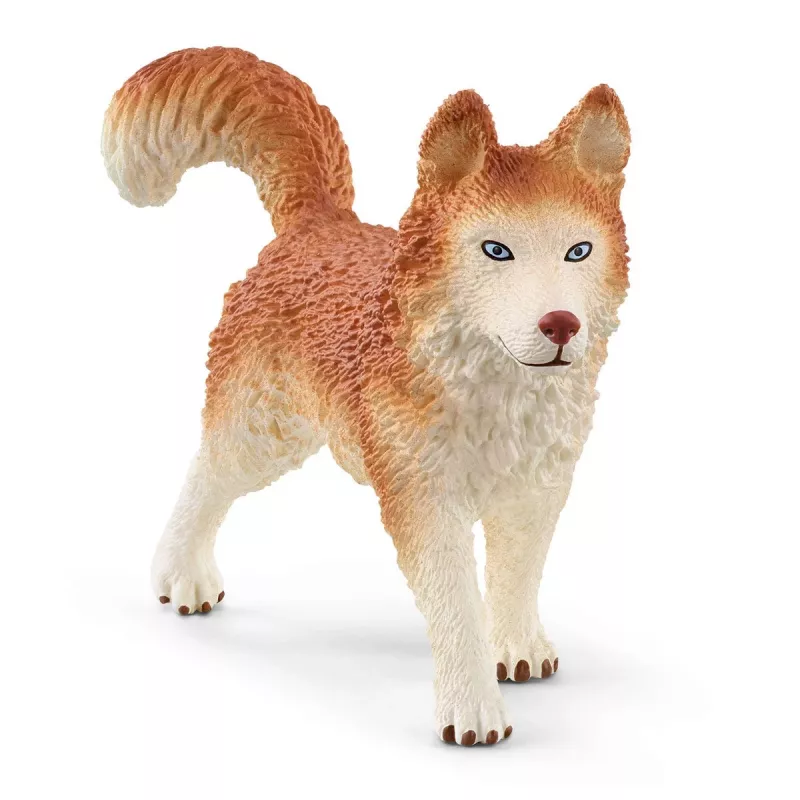 Zoo Schleich WILD LIFE spedizione in Antartide multicolore 42558