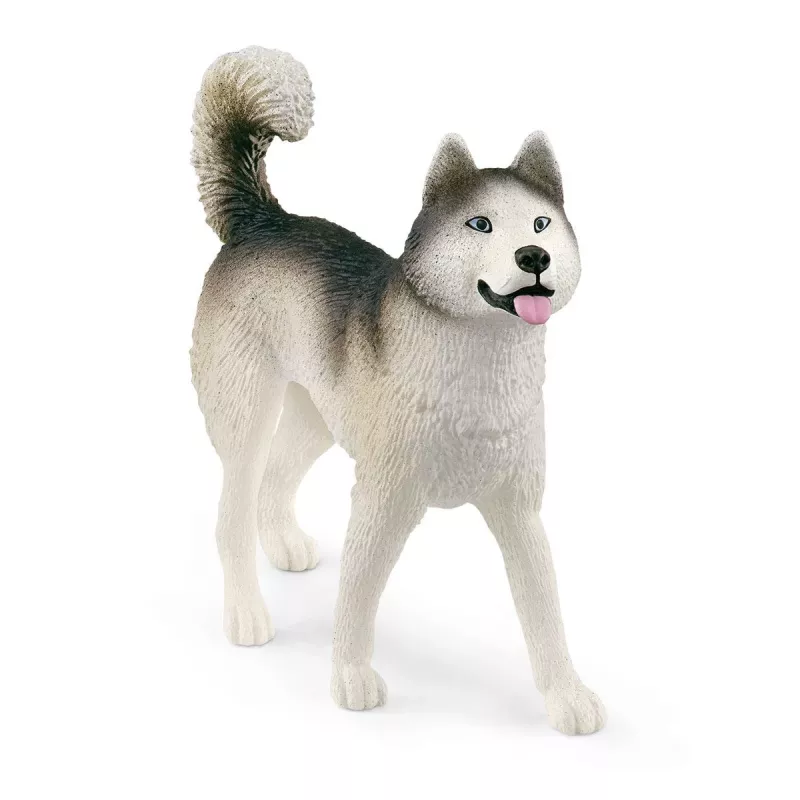 Zoo Schleich WILD LIFE spedizione in Antartide multicolore 42558